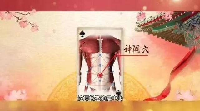 维生素|用好一汤、一穴、两素 肠胃健康消化好