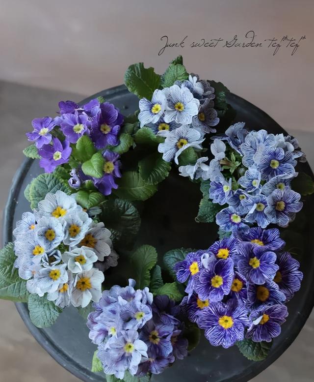 霜雪未尽悄然开，生机盎然报春来