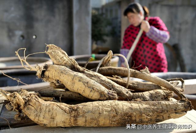 “葛根”的功效及其应用