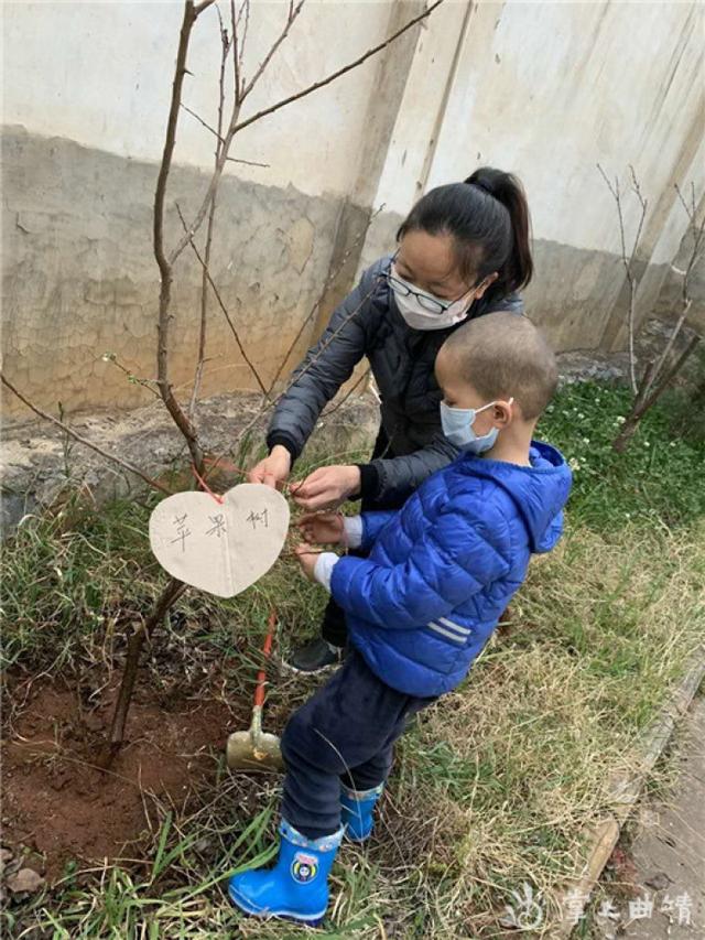 [你的育儿经]县一幼开展“线上植树活动”