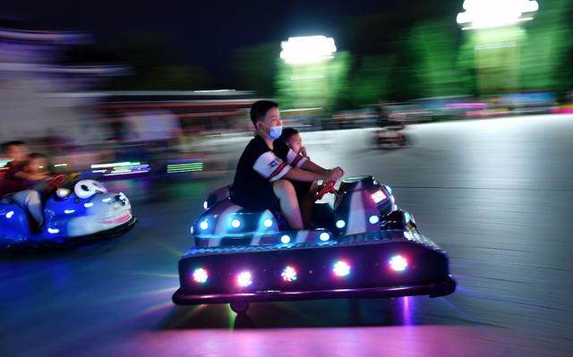 乐活|宁夏金凤为什么飞舞 城市怎样乐活