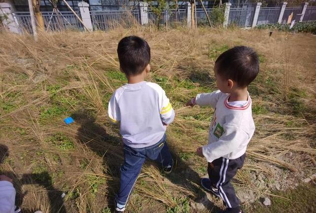 孩子|徒步走，去秋游！新城实验第二幼儿园开着“小火车”走进运河农园