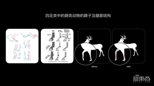 走进华为北研所：EMUI 11背后的“人因研究”到底是什么？