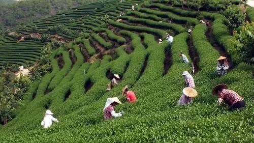 【超级宝妈】别样过假期,携手共育促成长——家乡篇