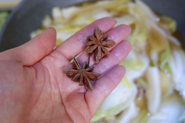 百菜不如白菜，猪肉白菜炖粉条，这是正宗东北味儿，家常还美味