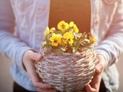 When Faced with Adversity, Read These Three Sentences and Good Fortune Will Come Naturally!