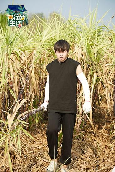 彭昱畅《向往的生活》玩转泼水节 蘑菇屋最拼农活小能手现身|fun娱乐