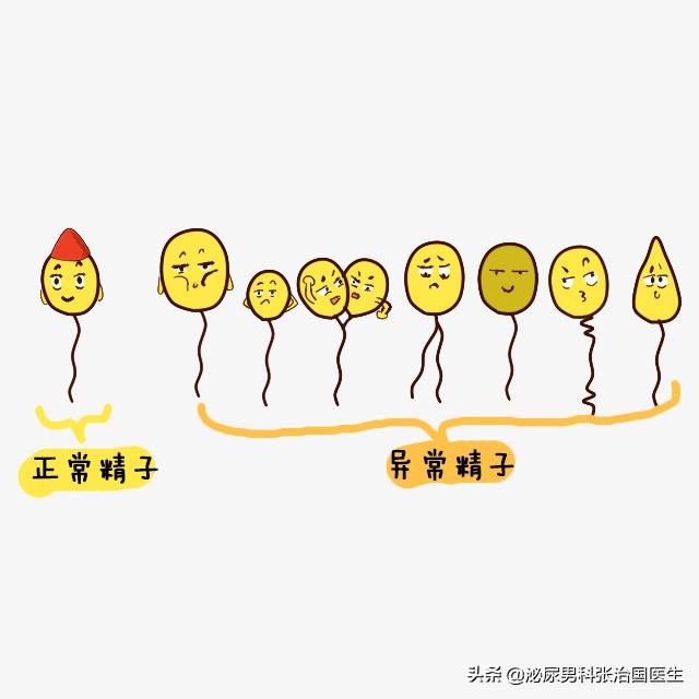「超级宝妈」精子畸形率高就容易生出畸形宝宝,这种说法正确?