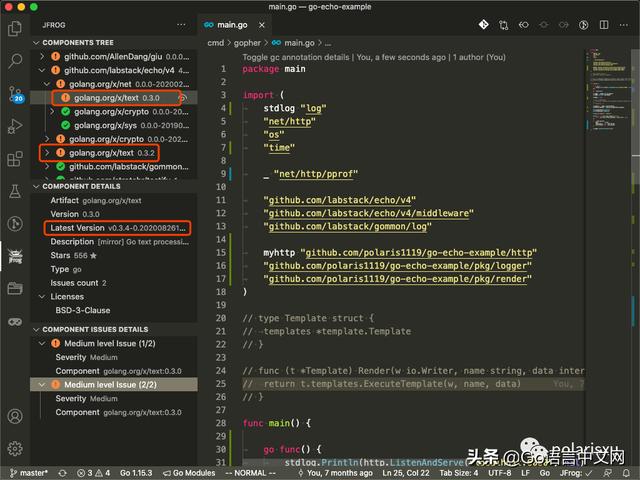 Go Module有漏洞？免费的Go漏洞扫描VSCode插件