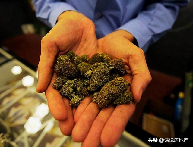 世界十大毒品排行榜，海洛因会导致人格分裂，冰毒能损害器官