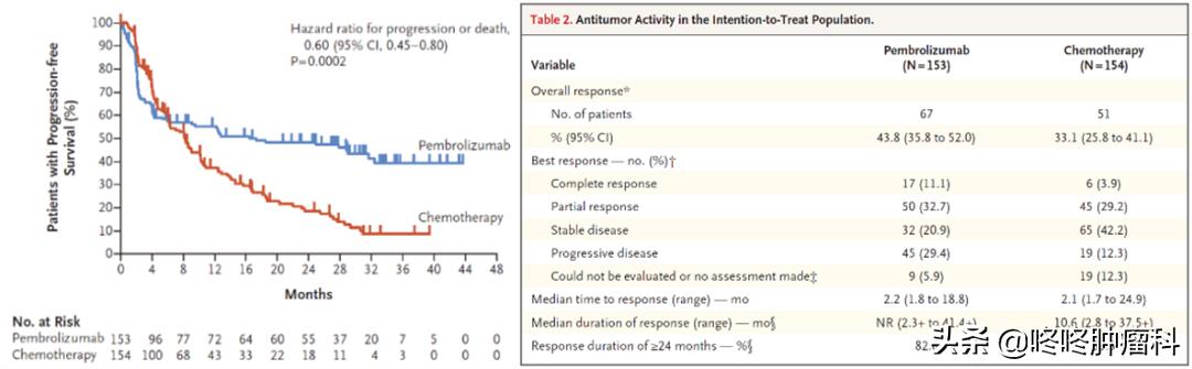 免疫前沿：K药突破乳腺/结肠癌瓶颈；癌症疫苗显疗效，未来可期