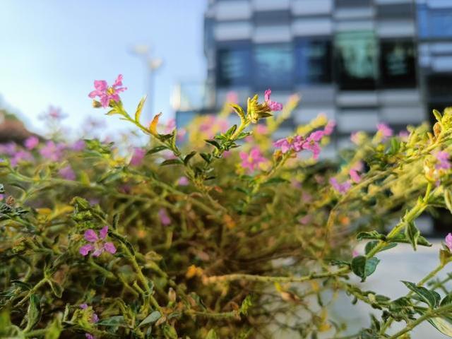 realme真我Q2评测：高刷与长续航兼顾的5G手机普及者