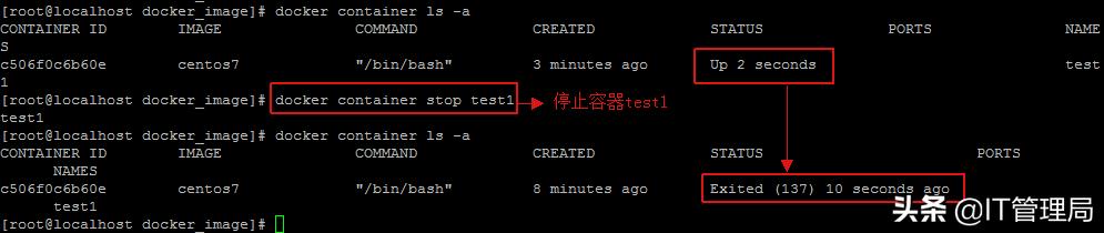 IT工程师都需要掌握的容器技术之Docker容器管理