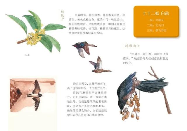 「你的育儿经」一说起绘本就是国外的？这些中国风的原创绘本推荐给你