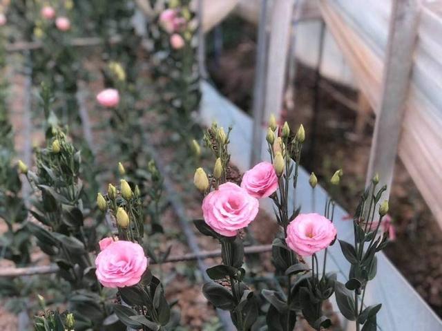 消费者|“三八节”申城掀起“她经济”：“悦己”支出大幅提升，年轻女性注重独立