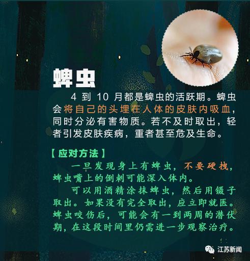 咬伤|被它咬了一口，女子窒息身亡！医生：第一时间应这样做