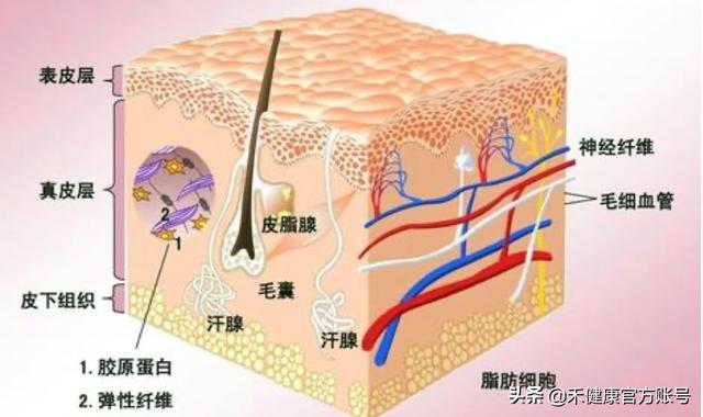 做过就后悔的 5 件事，还没结婚的女性，劝你一个都别沾