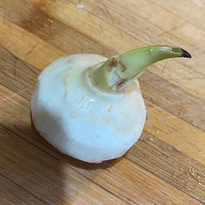 超级简单的红烧肉炖慈菇，赶快get起来