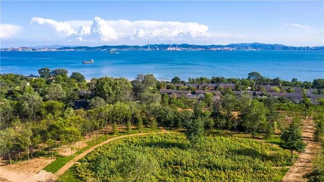 #旅行柚子君#刘公岛如此＂美味儿＂，让你明白什么才是真正的色香味俱佳～