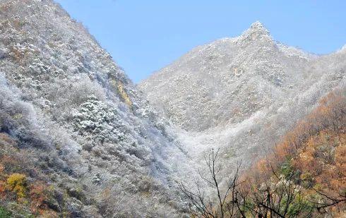 常红梅丨秦岭雪