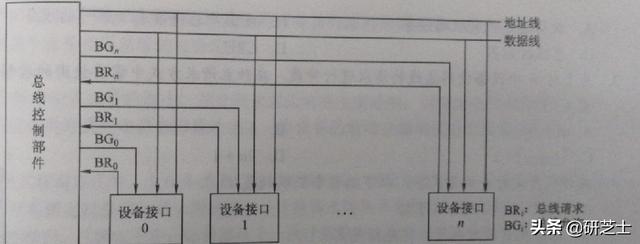 「计算机组成原理」：总线仲裁