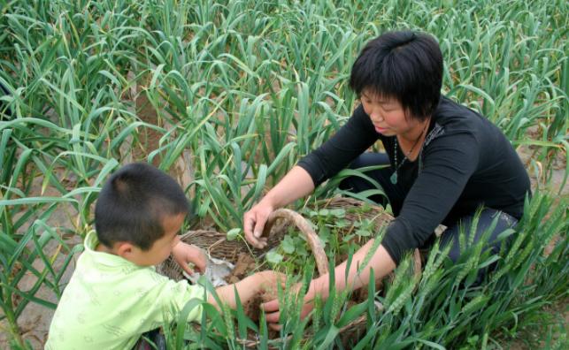 大城市|城市好医生这么多，孕妇却要挺着大肚子回农村生孩子？全因这五点