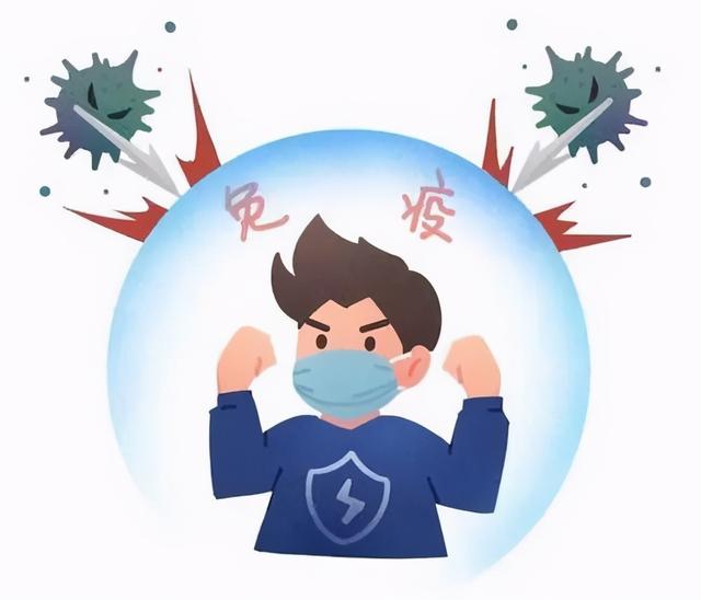 增强免疫力，易胖体质给我滚