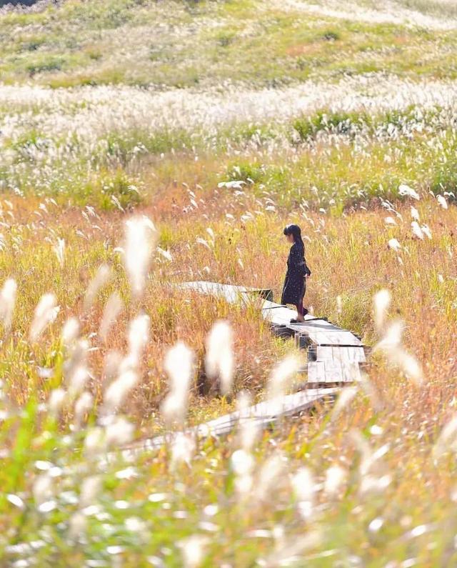 相亲相爱|暖心爸爸晒娃，却把孩子拍成宫崎骏动画，太治愈了