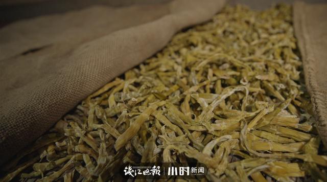 大伯|「小柏菜」平平无奇增鲜小天才！藏在浙江高山深处的这一个神奇，已悄悄存在千年