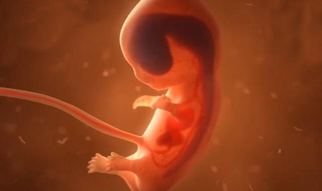 「你的育儿经」胎动最早什么时候出现?不是16周,而是这个孕周,孕妈要心里有数
