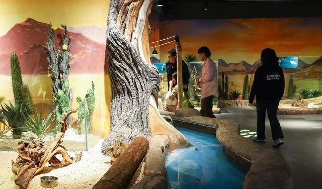 「玩乐足迹」北京首家室内动物园 · 和羊驼浣熊一起玩