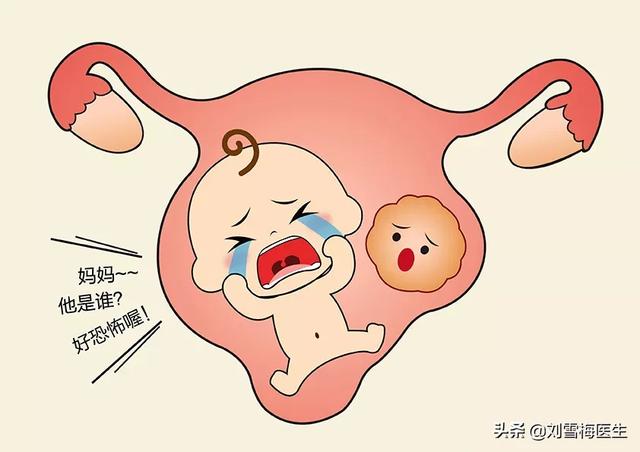 猫绘秋|怀孕后必须保胎吗？40年专家这样解释