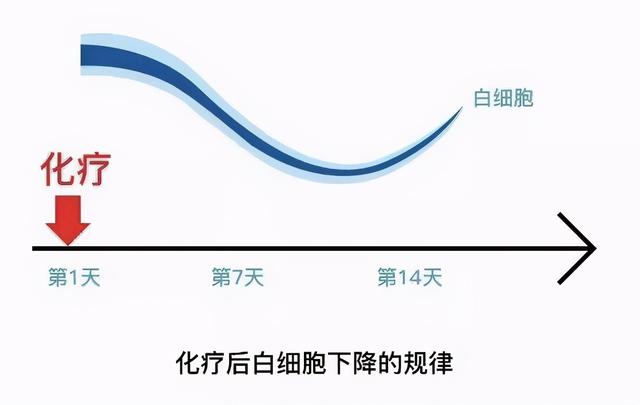 为什么要“升白”治疗？“升白”怎么升？