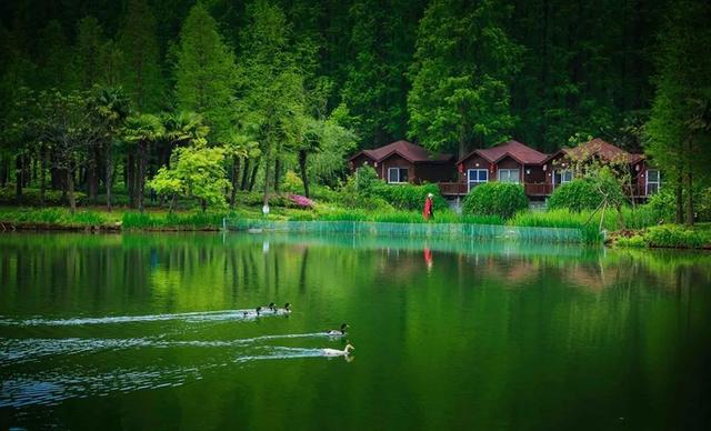 休闲|崇明这项上海之最，你必须知道