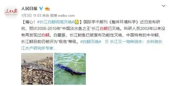 新华网客户端:今天的头条,只想留给TA们……