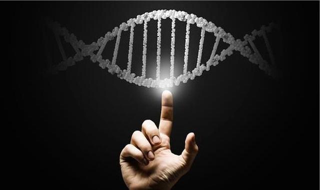 基因|华大基因汪建：很神很狂很妖，要将人类寿命提升到100岁｜深商7