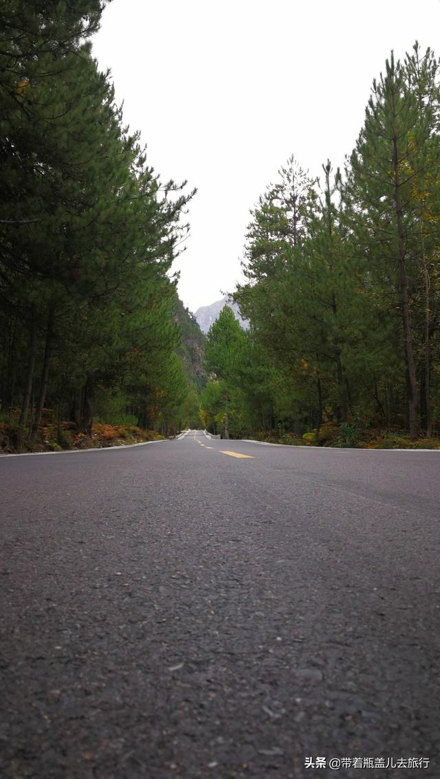 #世界那么大#告别然乌湖，走进冰川之乡，藏王故里的波密，原来西藏也有个江南