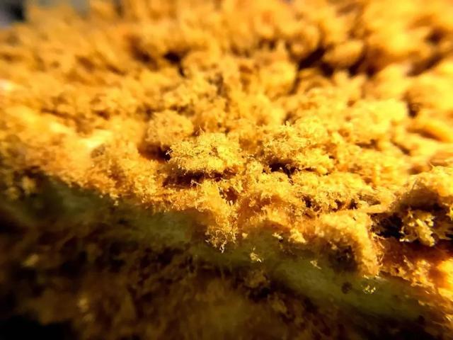 「你的育儿经」别花钱买肉松了，简单两步，不加任何添加剂，宝宝吃了还想再吃