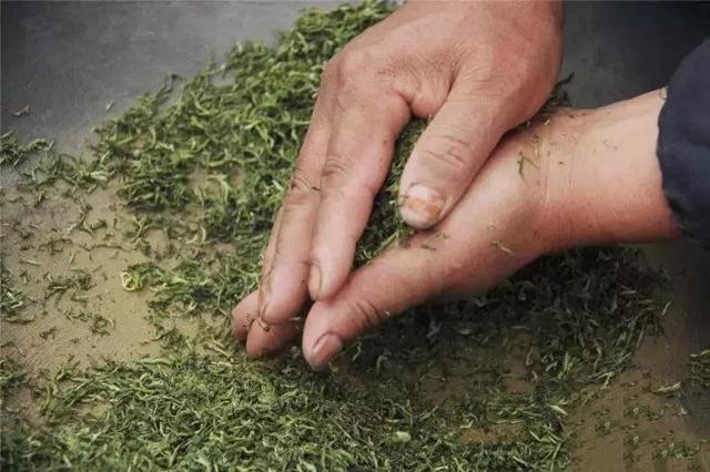 最高售价2万元一斤 2021洞庭碧螺春茶将于3月10日上市