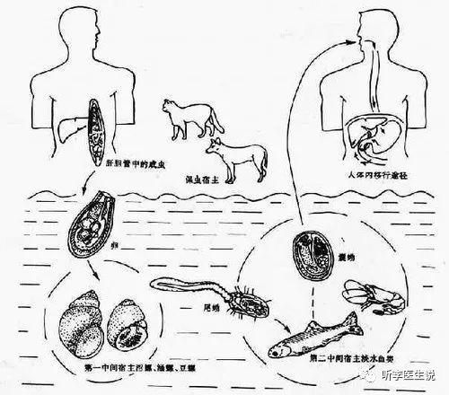 这次腹泻，差点要他命，医生：这几个省份患者最多，要改掉这个不良生活习惯