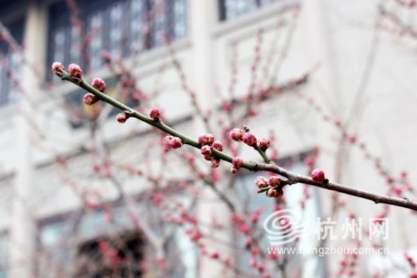 杭州妈妈开家长会，在窗口一坐就是3小时，结果住了院