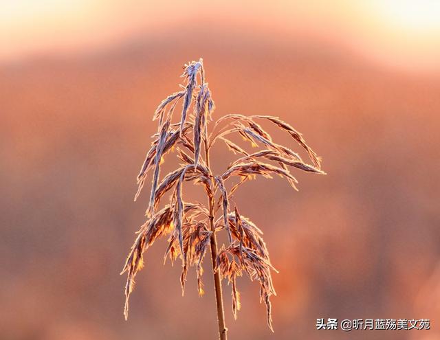 爱你，心心念念，余生，愿你安好