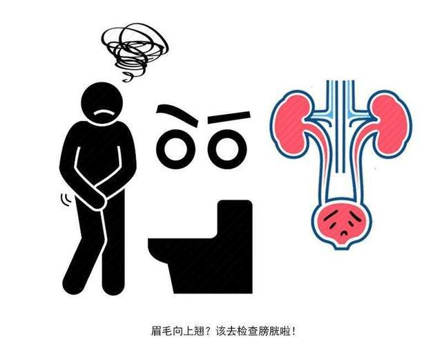 男人得前列腺炎，是染了什么病菌？药没少吃却不见好，什么原因