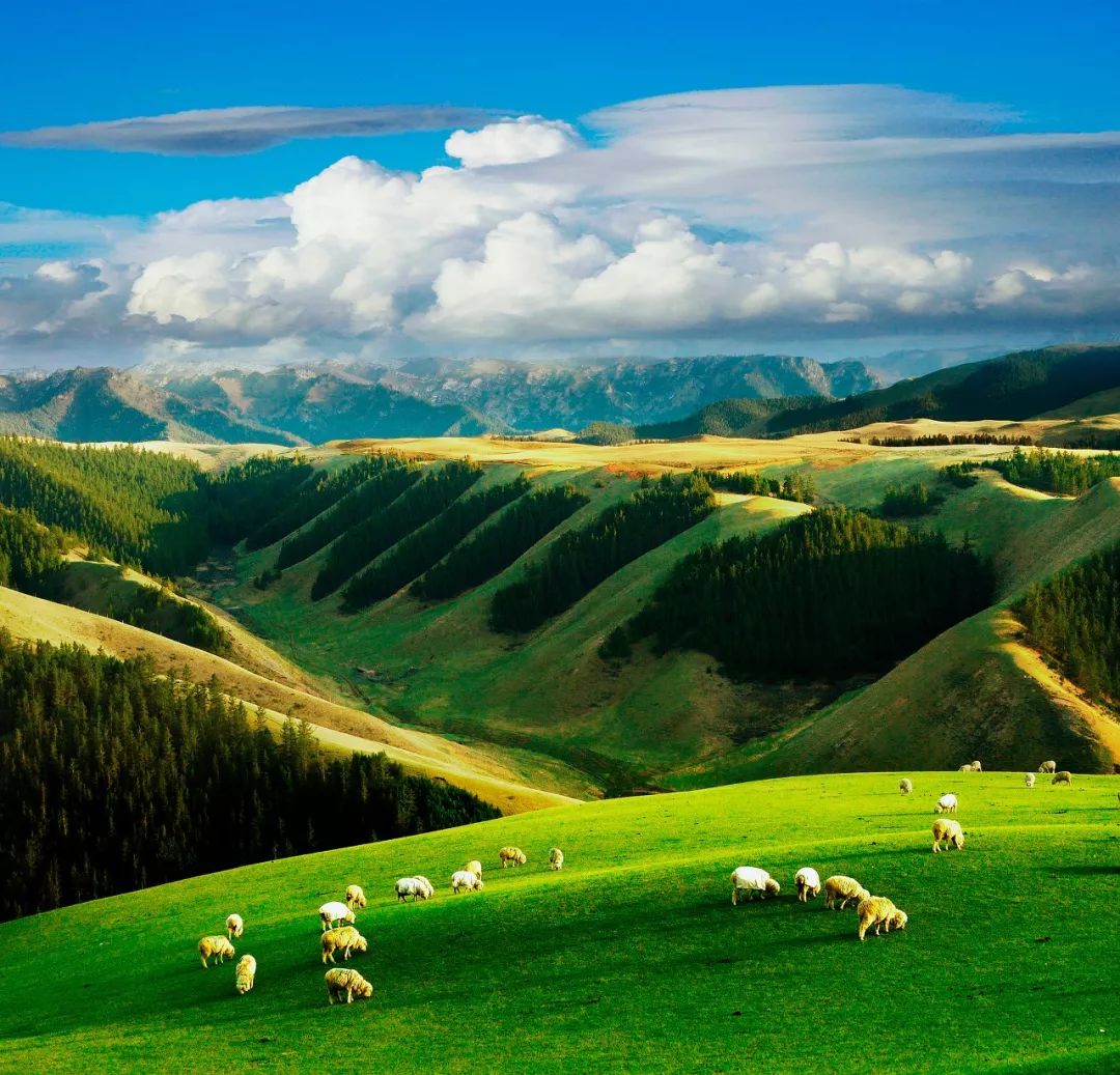 [浅唱风]联合国点赞的中国最低调省份，居然深藏如此宝藏小城！几乎浓缩西北全部的美，然99%的人路过却错过了！