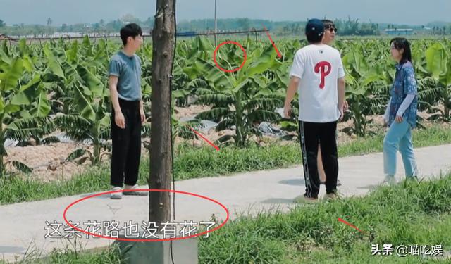 橘子味的猫|胡先煦问哪有西瓜苗?摄像师赶紧补了一个镜头特写,不是糊弄人吗