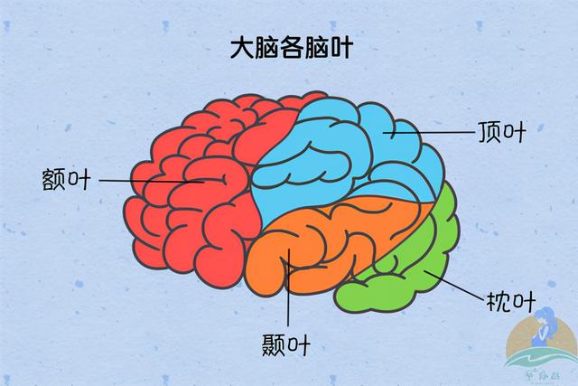 婴儿满三岁后“集体失忆”，宝宝究竟忘记了哪些事？过来人告诉你