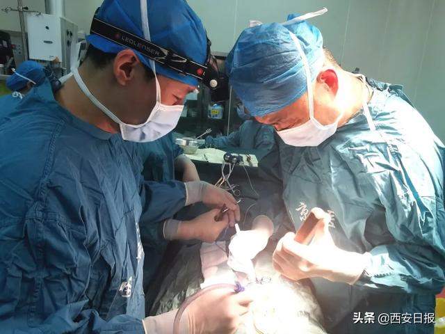 患者|九旬老人深受巨大恶性肿瘤折磨 西安医生多学科联合施术除病痛