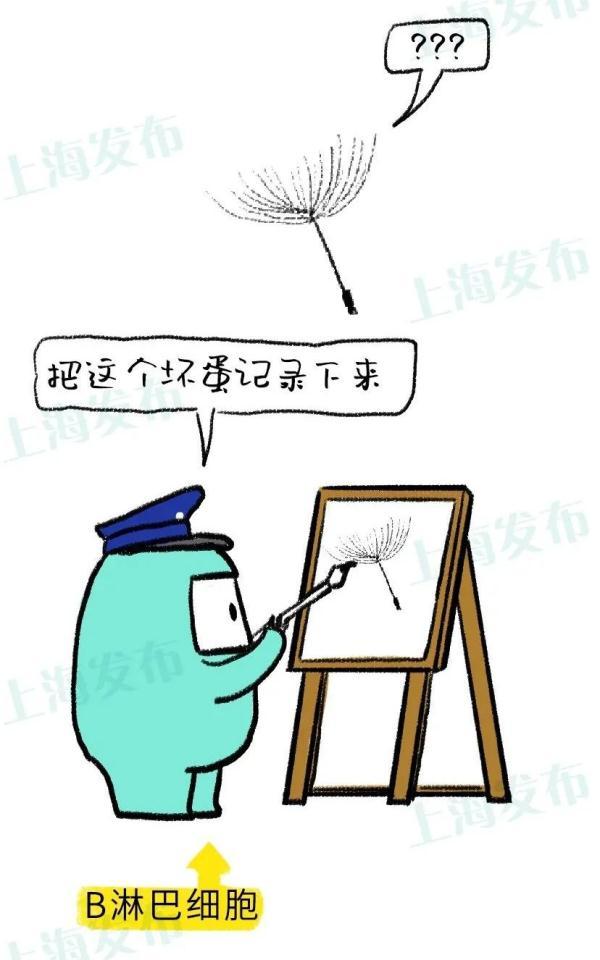 过敏|过敏的痛苦为啥那么深刻？免疫系统变态反应了