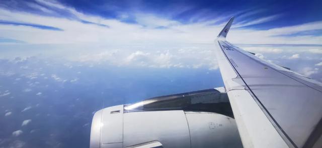 使用char*参照单独字符