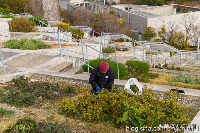 【旅行百事通】淡路梦舞台，安藤忠雄的代表作，你能看出柯布西耶的影子吗